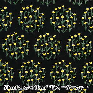 y5z n wȖLoX t[T[N ×CG[ KTS6873-Ex COTTON KOBAYASHI Rbg΂₵ ё@