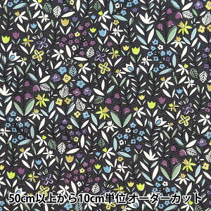 y5z n wu[h ԕ ubN KTS6921-Fx COTTON KOBAYASHI Rbg΂₵ ё@