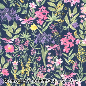 y5z n wu[h ʒԕ lCr[ KTS6904-Cx COTTON KOBAYASH Rbg΂₵ ё@