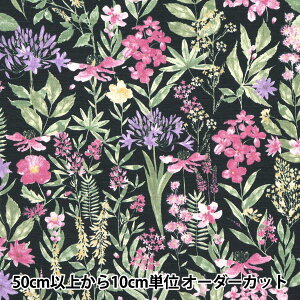 y5z n wu[h ʒԕ ubN KTS6904-Ex COTTON KOBAYASH Rbg΂₵ ё@