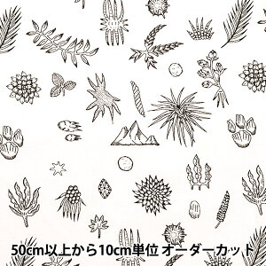 y5z n w͖숤 V[eBO i` zCg×ubN KA824710-Ex YUWA L֏X