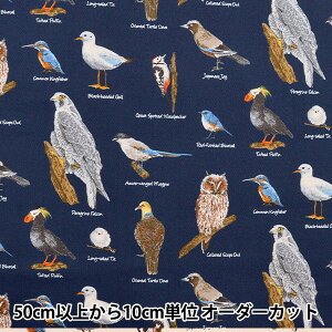 y5z n wcC 쒹} lCr[ KTS6890-Bx COTTON KOBAYASHI Rbg΂₵ ё@