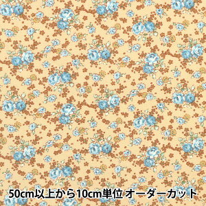 y5z n wu[h ԕ L KTS6813-Ex COTTON KOBAYASH Rbg΂₵ ё@