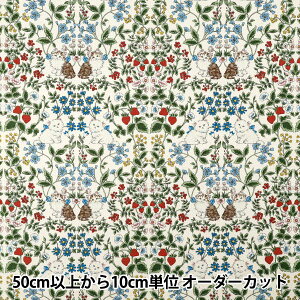 y5z n w10ԃIbNX LbgK[f Li R9014-1Ax