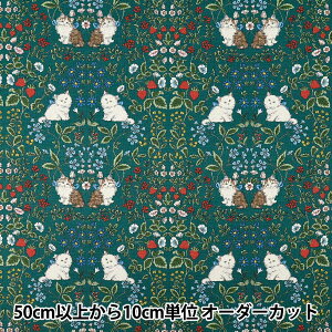 y5z n w10ԃIbNX LbgK[f O[ R9014-1Cx