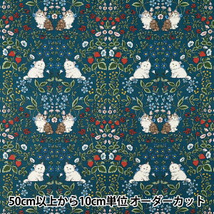 y5z n w10ԃIbNX LbgK[f lCr[ R9014-1Dx