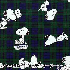 y5z n wIbNX Xk[s[ `FbN O[ 634117x