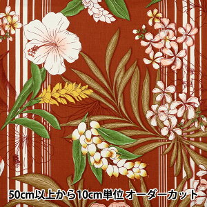 y5z nwV[eBO LV[} bh 02204-1x