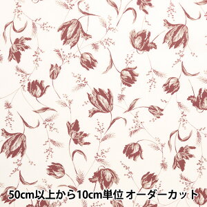 y5z wAll my fav. I[}Ct@u |GXe `[bv sN AMFF-01Ax
