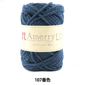 H~ю wAmerry L (A[G) (ɑ) 107ԐFx Hamanaka n}iJ