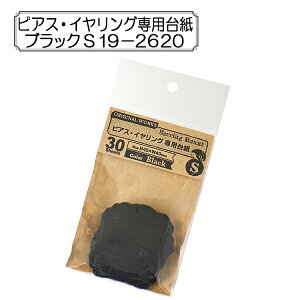 ̑ wsAXECOp䎆 ubN S 19-2620x SASAGAWA TTK ORIGINAL WORKS IWi[NX