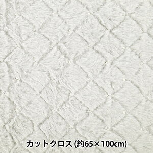 n wrbgp[t@[ JbgNX 65cm×100cm CgO[ C-HSPF-LGYx