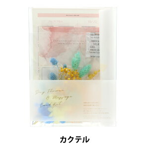 �y1000�~�|�b�L���z ��|�L�b�g �w���b�Z�[�W�J�[�h�L�b�g �J�N�e�� SU00163�x asca �A�X�J����y�y�V�労�ӍՁz