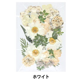 押し花 『押し花カラーパック ホワイト PY001』