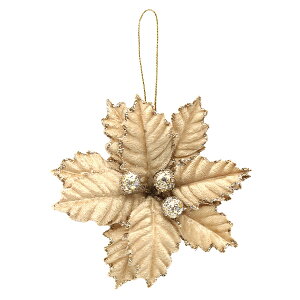  VNt[ w|CZ`AI[ig x[W AX60244-008x asca AXJ