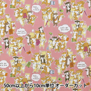 y5z n wIbNX GYUGYUAj} ̂ڂVo sN YKA-81040-2Ax KOKKA RbJ