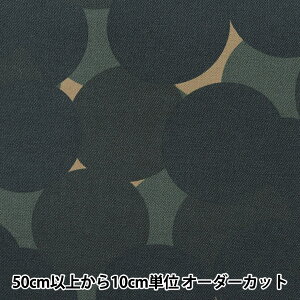 y5z n w[LoX 􉽊wDOT O[ NFA60380-381Cx KOKKA RbJ