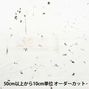 y5z n wȃVN t[Yu[ EGX-11260-1Bx KOKKA RbJ