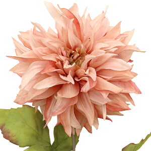  VNt[ w_A _XeBsN A-34441-023x asca AXJ