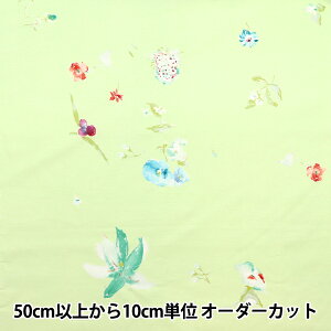 y5z n wNew morning (j[[jO) ȃVN CG[O[ EGX-11001-1Ex KOKKA RbJ