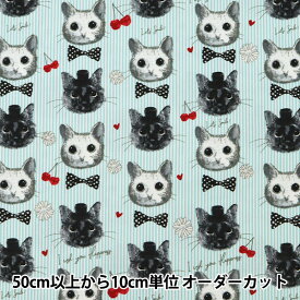 楽天市場 猫 目 くりくりの通販