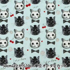 �y����5����z ���n �w�I�b�N�X patch work animals �l�R&�`�F���[ �u���[ LOA-61030-2C�x KOKKA �R�b�J