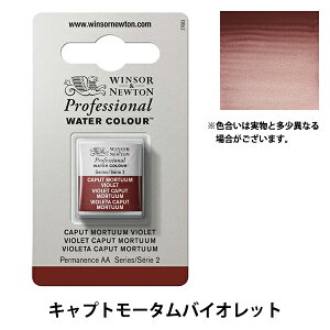 絵具 『プロフェッショナル ウォーターカラー ハーフパン 125 キャプトモータムバイオレット 3102125』 Winsor&Newton