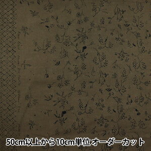 �y����5����z ���n �w�i�j�C�� �I�[�K�j�b�N���[�� �x�A�[�t���[�c EGX-11270-1D�x KOKKA �R�b�J