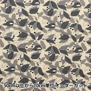 y5z n wȖ30rG Ɖ O[ NFA60790-791Bx KOKKA RbJ