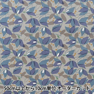 y5z n wȖ30rG Ɖ O[×u[ NFA60790-791Dx KOKKA RbJ