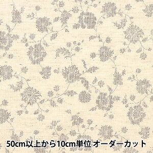 y5z n wȖV[`O PFԍX Li NFA60570-571Ax KOKKA RbJ