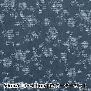 y5z n wȖV[`O PFԍX lCr[ NFA60570-571Ex KOKKA RbJ