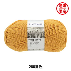 H~ю w7BROTHERS 288ԐF XpCNx NOVITA mB^ mr[^