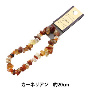 r[Y wVR΂ J[lA 20cm YT1604x