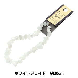 r[Y wVR΂ WWFCh 20cm YT2403x