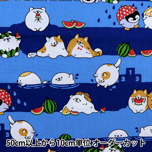 y5z n wIbNX MOFUNIMAL T}[^C  YPA-21000-2Bx KOKKA RbJ