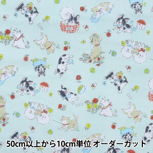 y5z n wփCX`[HER WK[[ ӂDOG F LG-46030-1Cx KOKKA RbJ