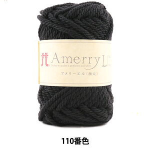 H~ю wAmerry L (A[G) (ɑ) 110ԐFx Hamanaka n}iJ