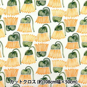 n wkippis (LbsX) IbNX JbgNX 110×50cm ԒB̂₫ Li KPOK-77Ax