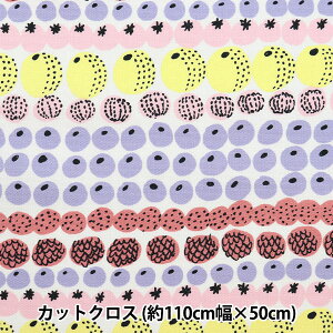 n wkippis (LbsX) IbNX JbgNX 110×50cm r^~ }` KPOK-71Ax