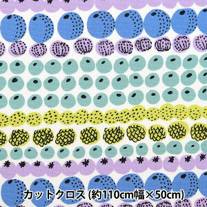 n wkippis (LbsX) IbNX JbgNX 110×50cm r^~ u[ KPOK-71Bx
