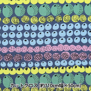 n wkippis (LbsX) IbNX JbgNX 110×50cm r^~ lCr[ KPOK-71Cx