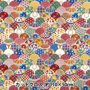 n wV[`O { JbgNX 110×50cm }` C-ACS1109-Ax