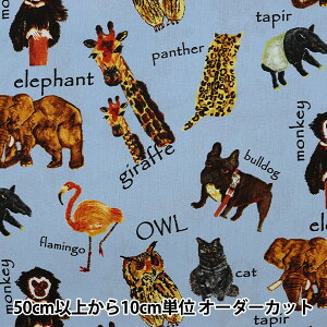 �y����5����z ���n �w�Ȗ��L�����o�X Bokutotsu ���� LOA-66050-1C�x KOKKA �R�b�J