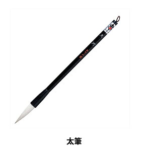 M wV M  3 AL-120x akashiya ޗǕM 