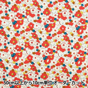 y5z n woeBEt@ubNX ^i[ p[[ENX}X IrA 3634253P24Ax Liberty Japan oeBWp
