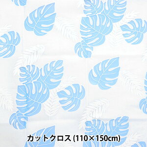 n wIp[ JbgNX 110cm×150cm Xe C-RAM-OBR620x