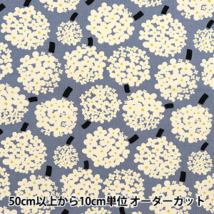 y5z n w̕z 10ԃLoX  u[O[n×AC{[ UP5950-Ex COTTON KOBAYASHI Rbg΂₵ ё@