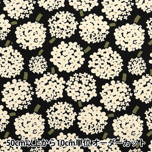 y5z n w̕z 10ԃLoX  ubNn×AC{[ UP5950-Fx COTTON KOBAYASHI Rbg΂₵ ё@