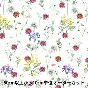 y5z n woeBEt@ubNX ^i[ |Jt[ 363J4216-24AUx Liberty Japan oeBWp